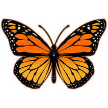 Load image into Gallery viewer, Monarch Butterfly
