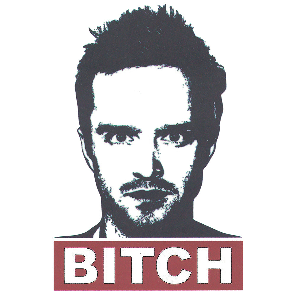 Breaking Bad Jesse Pinkman Bitch Sticker