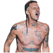 Load image into Gallery viewer, Ninja Die Antwoord Sticker
