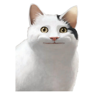 Cat Meme Sticker