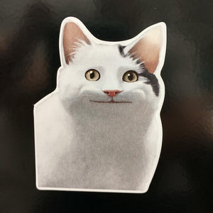 Cat Meme Sticker