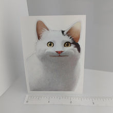 Load image into Gallery viewer, Cat Meme Sticker
