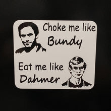 Load image into Gallery viewer, Dahmer and Bundy Sticker
